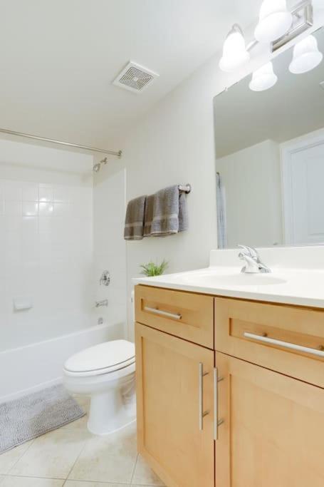 Condo With Gym And Pool In Pentagon City 8Min To Dca 阿林顿 外观 照片